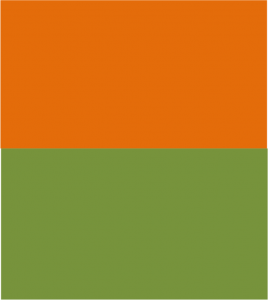 Saffron Thinking Green Living by Dileep Kulkarni